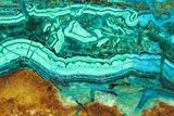 Polished Banded Chrysocolla and Malachite - Bagdad Mine, Arizona #298419-1